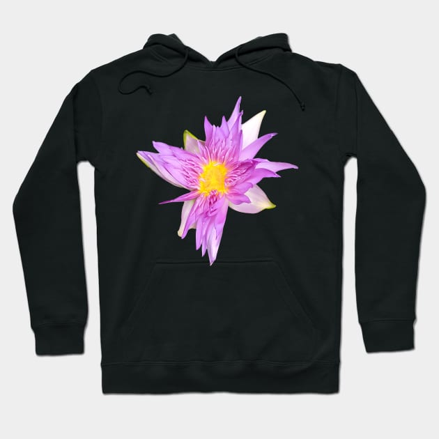 Water Lily - King of Siam Hoodie by MolinArte